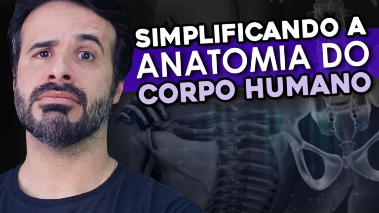 Tubérculo Menor: Função e Tratamento