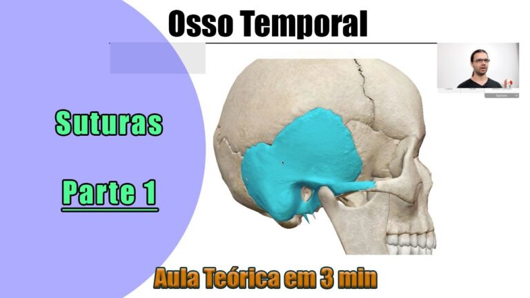 Sutura Parietomastóidea: Características e Funções