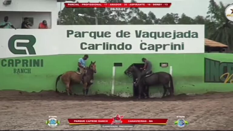 Classificação de Caprinos: Guia Completo