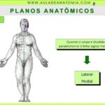 C&aacute;lculo de Insulina Regular por Peso: Guia Simplificado
