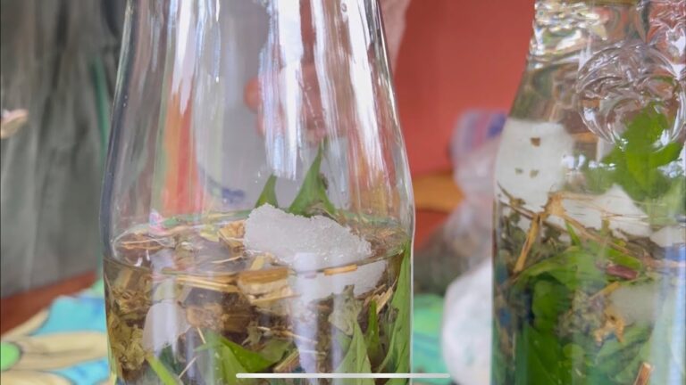 Benefícios do Alcool Com Arnica: Tudo o Que Você Precisa Saber