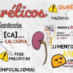 Doen&ccedil;as Genitais Femininas: Guia Completo e Atualizado