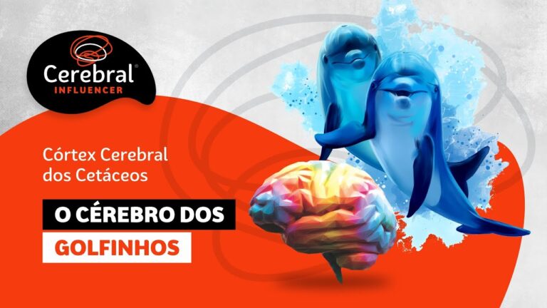 A Intrigante Estrutura do Cérebro do Golfinho