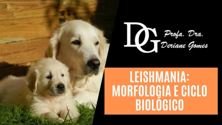 Entendendo o Ciclo da Leishmaniose Tegumentar