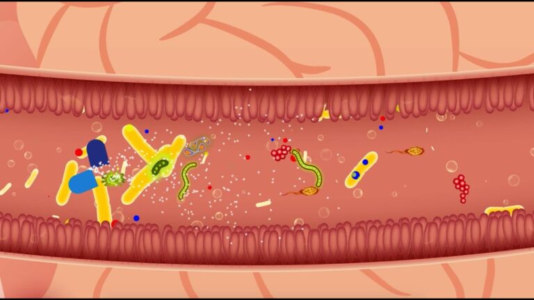 Probióticos para combater a diarreia causada por antibióticos