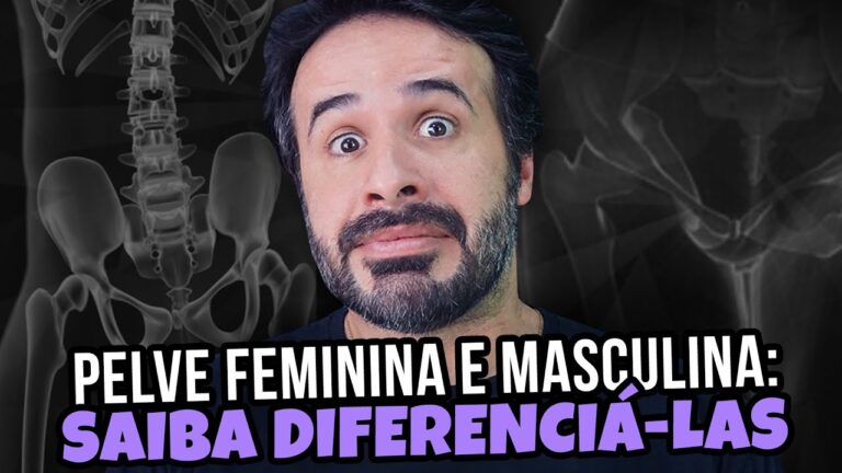 Anatomia e Funções do Osso Pélvico no Corpo Humano