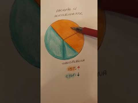 Exame CTLF: O que &eacute; e como funciona