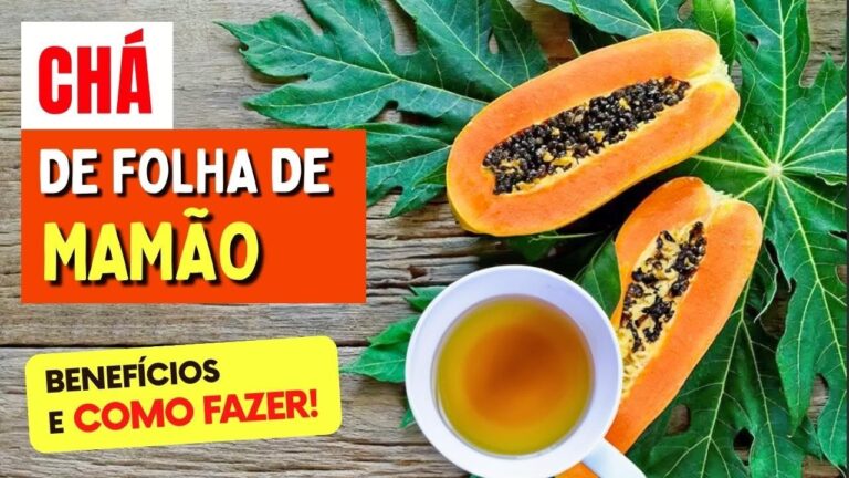 Benefícios da folha de mamão: um guia completo