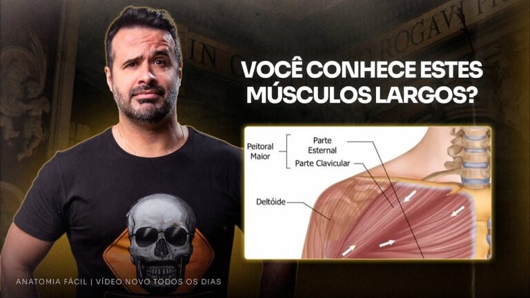 Desenvolvendo o Músculo Deltóide: Exercícios Eficazes e Dicas
