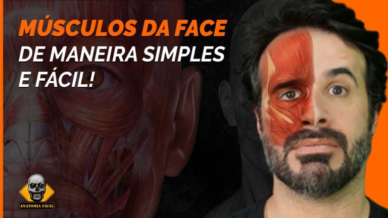 O papel do músculo epicrânio na anatomia craniana