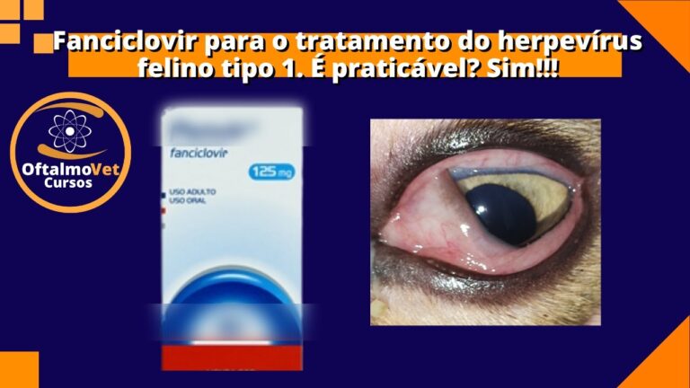 Penvir 125 mg: Guia Completo de Posologia