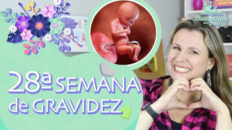 Desenvolvimento fetal: O que esperar nas 28 semanas de gestação