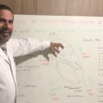 Anatomia e Fun&ccedil;&otilde;es do Osso P&eacute;lvico no Corpo Humano