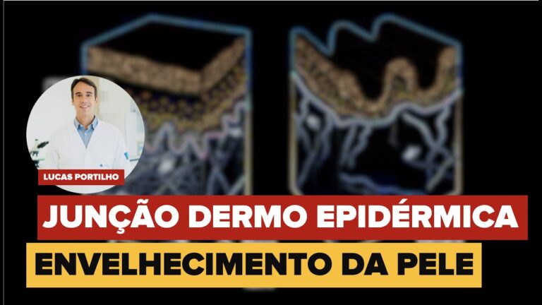 A Import&acirc;ncia da Jun&ccedil;&atilde;o Dermoepid&eacute;rmica na Sa&uacute;de da Pele