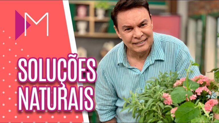 Chás para saúde dos rins e vias urinárias