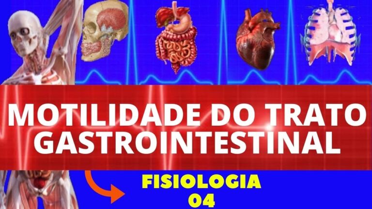 Entenda a Motilidade Gastrointestinal