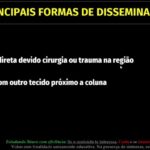 Doen&ccedil;as Genitais Femininas: Guia Completo e Atualizado
