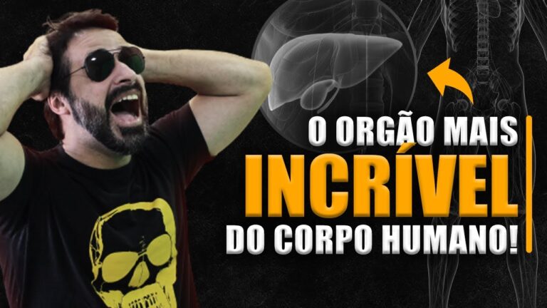 Arteria Hepática Comum: Função e Importância na Saúde