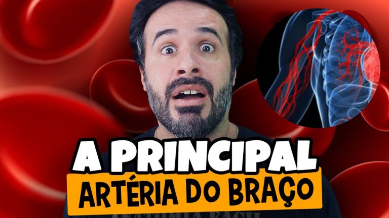 Entendendo a Arteria Bra&ccedil;o: Fun&ccedil;&atilde;o e Import&acirc;ncia