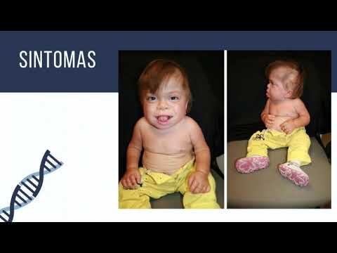 Principais Causas de Hepatoesplenomegalia