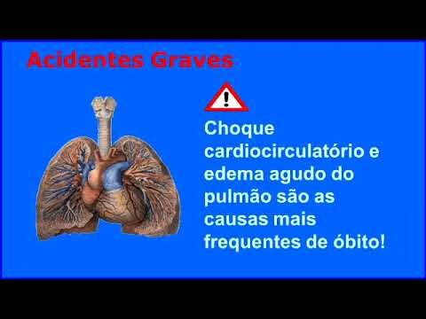 Como prevenir acidentes escorpiônicos