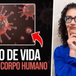 Dor na Phmetria: Causas e Tratamentos
