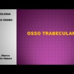 Dor na Phmetria: Causas e Tratamentos