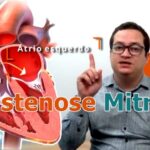 Calculadora TMB Harris: Como Calcular sua Taxa de Metabolismo Basal