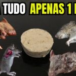 Principais Doenças de Cardiopatia Grave