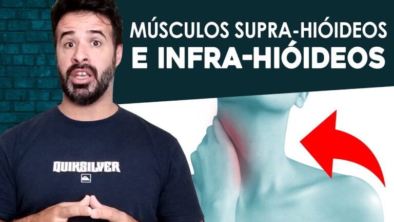 Anatomia e Função do Músculo Omo-hióideo
