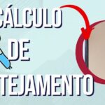 Benef&iacute;cios do Gengibre para a Pr&oacute;stata: O que Voc&ecirc; Precisa Saber
