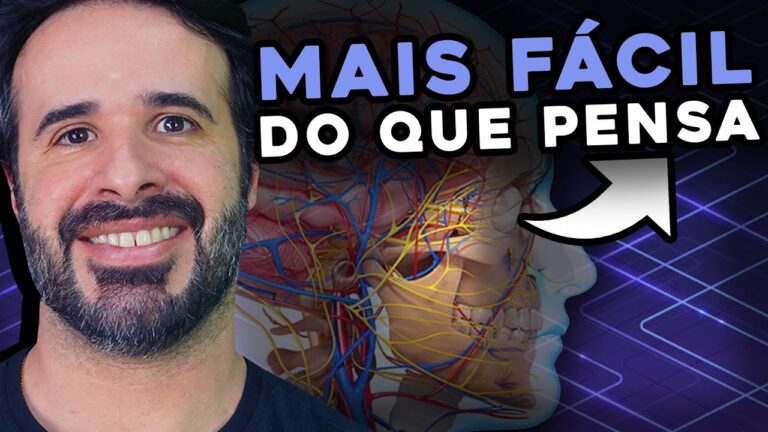 A Importância da Inervação Facial na Saúde