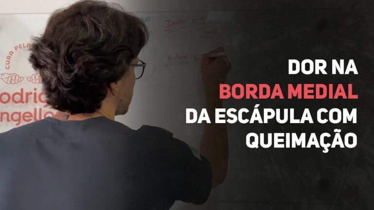 Anatomia e Função da Borda Medial da Escápula