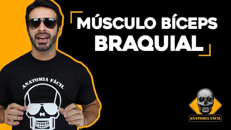 Desenvolvimento eficaz do bíceps braquial: cabeça longa em foco