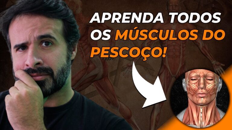 Como Aliviar a Tens&atilde;o nos M&uacute;sculos do Pesco&ccedil;o e Ombro