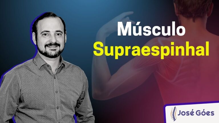 Explorando o Fossa Supraespinhal: Anatomia e Função