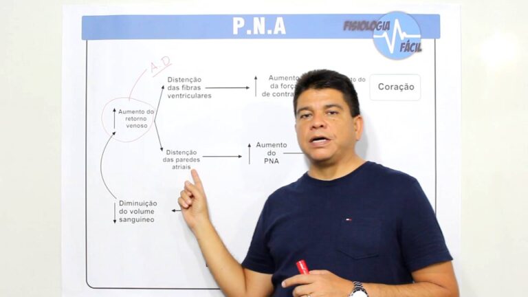 A Importância do Peptídeo Natriurético Atrial na Saúde Cardiovascular