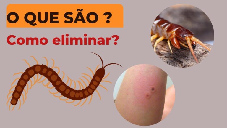 Receita de Veneno Caseiro para Matar Lacraias