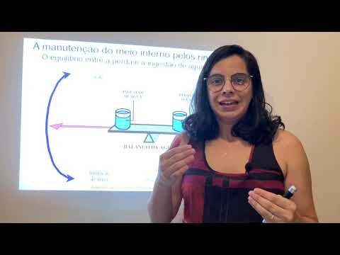 O Que é Desequilíbrio Hidroeletrolítico: Causas e Tratamentos