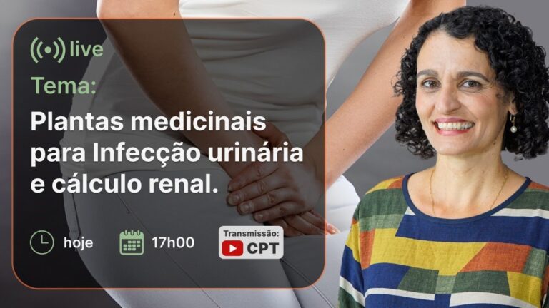 Planta eficaz para infecção urinária
