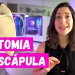 Dieta p&oacute;s colecistectomia: guia completo