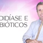 Dentes Permanentes: Quais s&atilde;o e como identificar