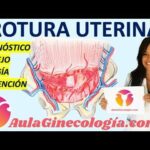 Cálculo de Droga Vasoativa: Estratégias e Aplicações Clínicas