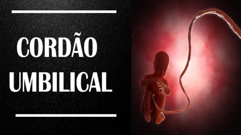 Explorando a Anatomia do Cordão Umbilical | Actualizado abril 2026