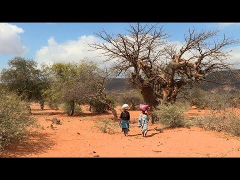 Descubra os Benefícios do Pozinho Africano