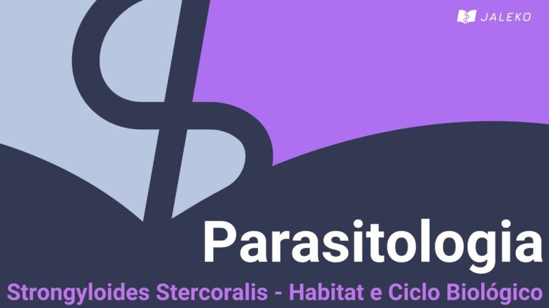 Ovos de Strongyloides stercoralis: caracter&iacute;sticas e diagn&oacute;stico