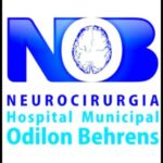 Significado e Import&acirc;ncia do MSS