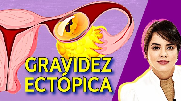 Utero Gravídico: O Que É e Como Tratar