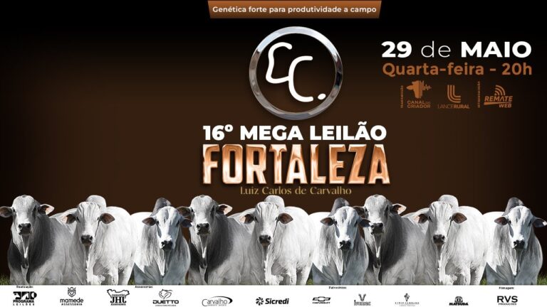 A incrível jornada de Afrim Bula: da adversidade à superação