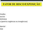 Aorta Ateromatosa: Significado e Implicações